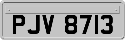 PJV8713