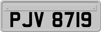 PJV8719