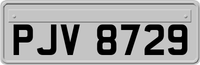 PJV8729