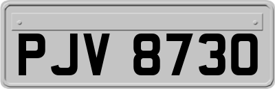 PJV8730