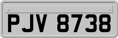 PJV8738