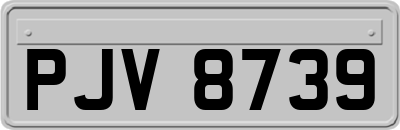 PJV8739