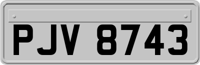 PJV8743