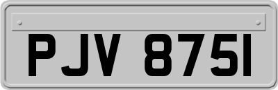 PJV8751