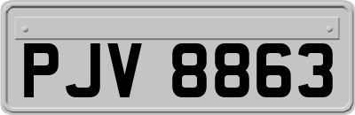 PJV8863