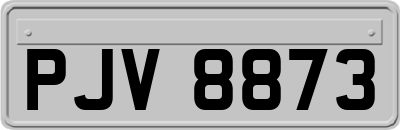 PJV8873
