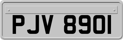 PJV8901