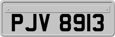 PJV8913