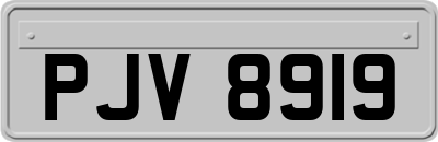 PJV8919