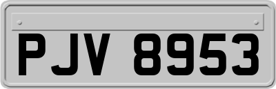 PJV8953