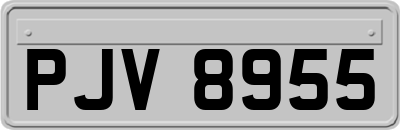 PJV8955