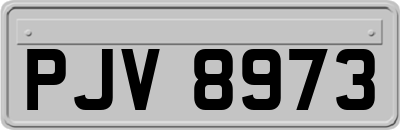 PJV8973