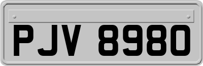 PJV8980