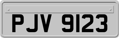 PJV9123