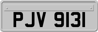 PJV9131