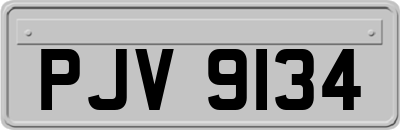 PJV9134