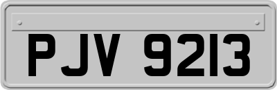 PJV9213