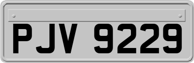 PJV9229