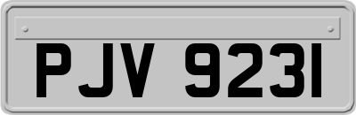 PJV9231