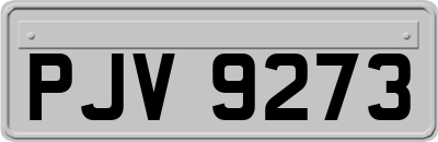 PJV9273