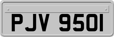 PJV9501