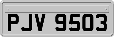 PJV9503