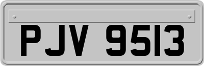 PJV9513