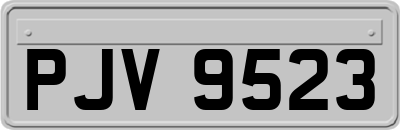 PJV9523