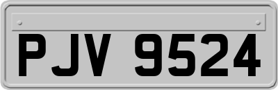 PJV9524