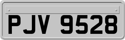 PJV9528