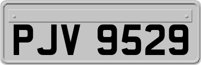 PJV9529