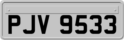 PJV9533