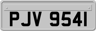 PJV9541