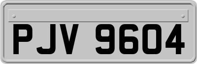 PJV9604