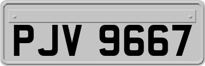 PJV9667