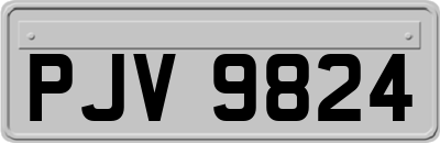 PJV9824