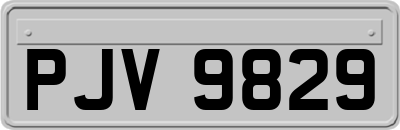 PJV9829