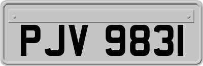 PJV9831