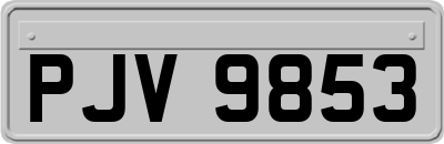 PJV9853
