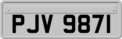 PJV9871