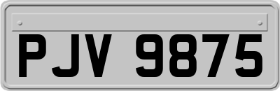 PJV9875
