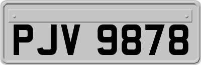PJV9878