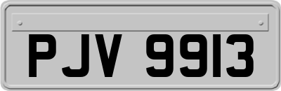 PJV9913