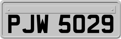 PJW5029