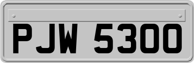 PJW5300