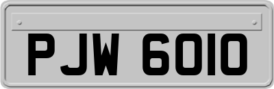 PJW6010