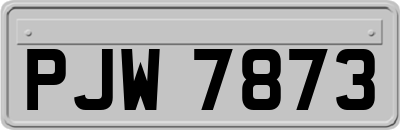 PJW7873