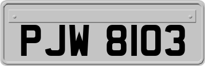 PJW8103