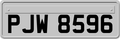 PJW8596