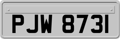 PJW8731